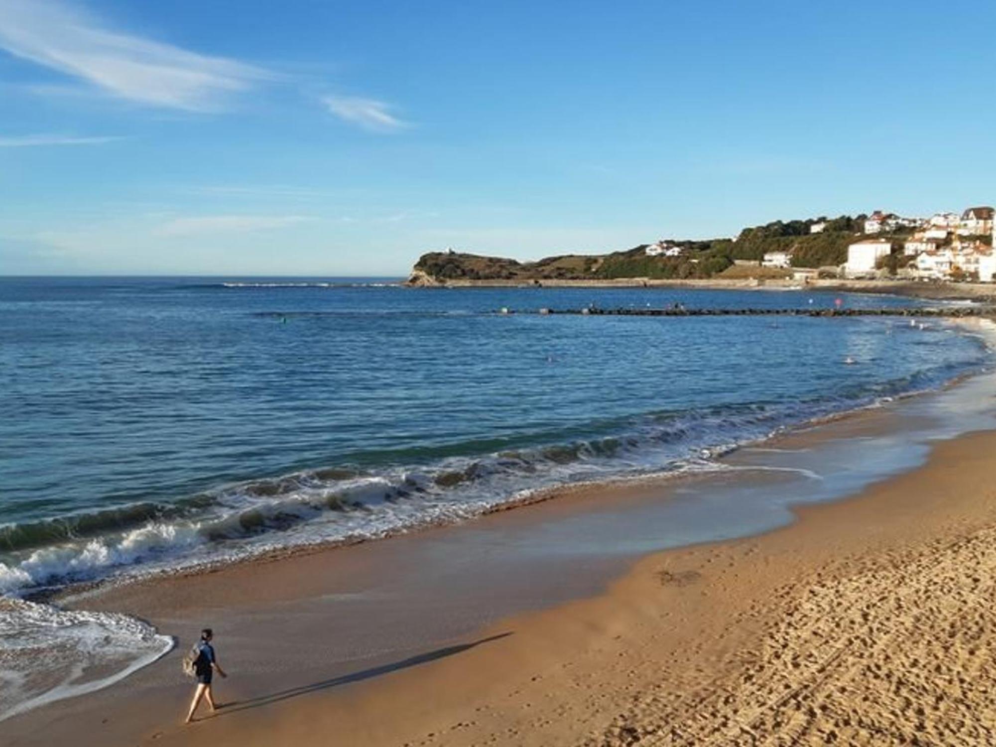 Charmant Studio Face Mer Avec Acces Direct Plage - Fr-1-4-659 Saint-Jean-de-Luz Eksteriør billede